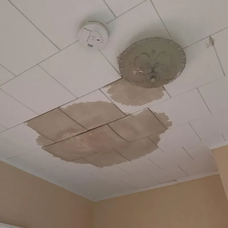 Ceiling Water Damage Repair in Logan County, OK