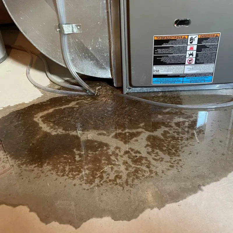 Pipe Burst and Leak Restoration in Logan County, OK